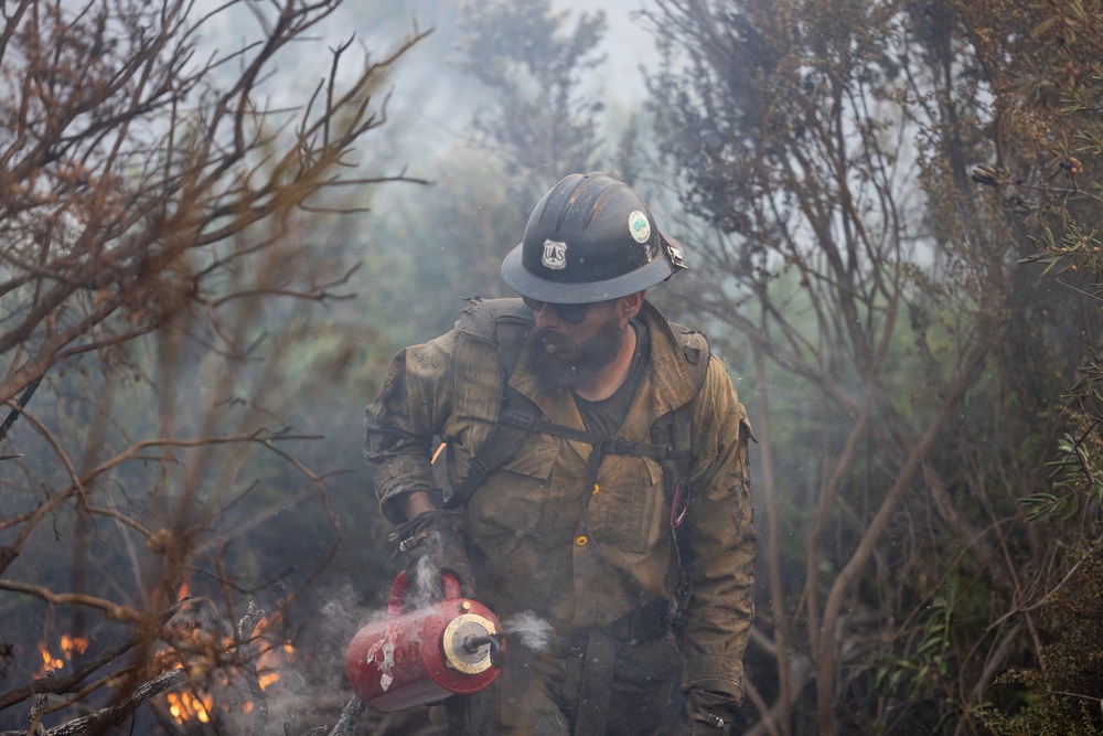 A U.S. Forest Service wildland firefighter is working in a smoky, burning landscape surrounded by charred and partially burned vegetation. The firefighter is carrying a drip torch, a tool used to ignite controlled burns or manage fire lines. The individual is wearing standard wildland firefighting gear including a dirty, soot-covered Nomex suit and a hard hat marked with 'U.S.' insignia.