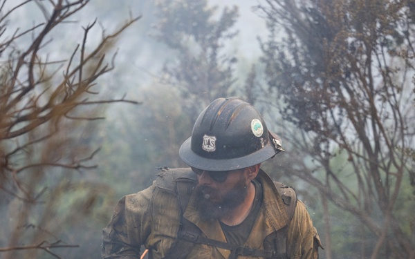 Timber Fire
