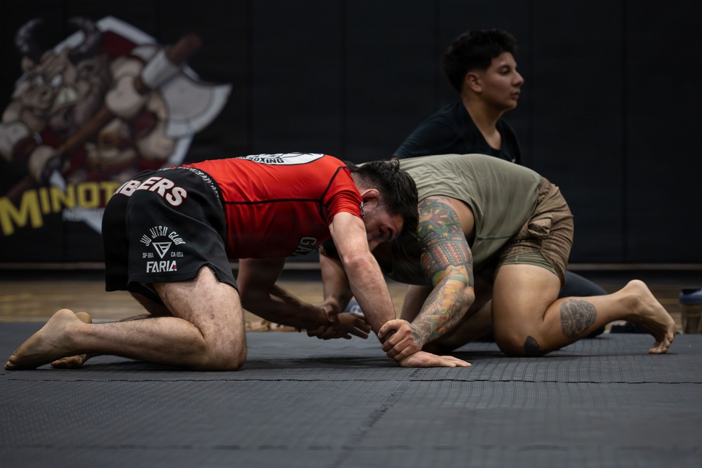 Naval Support Activity Souda Bay hosts interactive MMA event