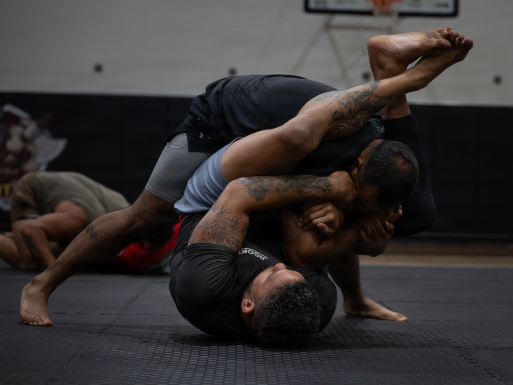 Naval Support Activity Souda Bay hosts interactive MMA event