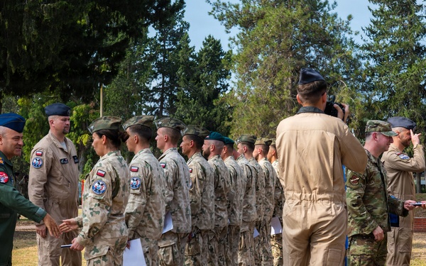 Polish Armed Forces Day strengthens Allied partnerships at Incirlik AB