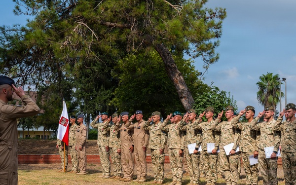 Polish Armed Forces Day strengthens Allied partnerships at Incirlik AB