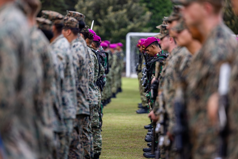 The image shows two facing rows of military personnel in a formal parade or ceremony formation on a grass field. Two distinct uniform types are visible: digital camouflage (likely US Marines) on one side and green camouflage with magenta/maroon berets on the other side, suggesting a joint multinational military exercise or ceremony. The depth-of-field photography technique keeps the center soldiers in focus while blurring the foreground and background figures.