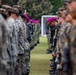The image shows two facing rows of military personnel in a formal parade or ceremony formation on a grass field. Two distinct uniform types are visible: digital camouflage (likely US Marines) on one side and green camouflage with magenta/maroon berets on the other side, suggesting a joint multinational military exercise or ceremony. The depth-of-field photography technique keeps the center soldiers in focus while blurring the foreground and background figures.