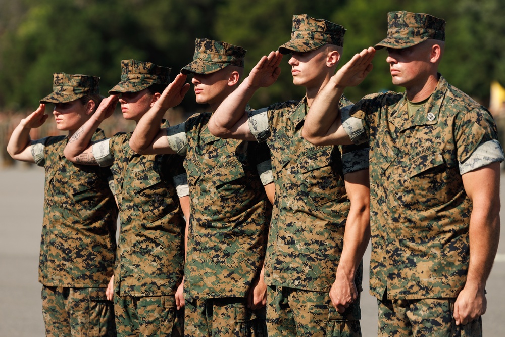 A group of U.S. Marines in woodland MARPAT digital camouflage uniforms are standing in a diagonal formation and rendering a salute. The scene appears to be a formal military ceremony or parade on a paved surface. The image captures at least four visible service members in a disciplined, synchronized posture.