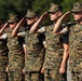A group of U.S. Marines in woodland MARPAT digital camouflage uniforms are standing in a diagonal formation and rendering a salute. The scene appears to be a formal military ceremony or parade on a paved surface. The image captures at least four visible service members in a disciplined, synchronized posture.