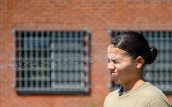 USAG Benelux Law Enforcement Certification: OC Spray