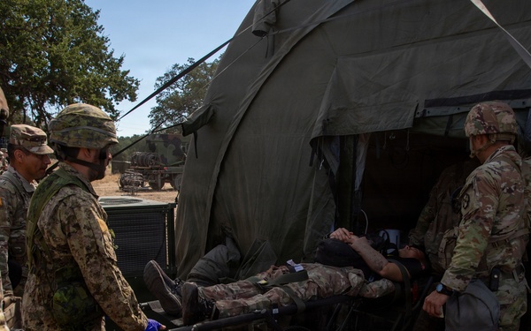 Operation Bold Eagle: 303rd Field Hospital demonstrates expeditionary hospital jump capabilities during Exercise Global Medic