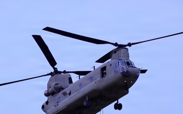 203rd MI Battalion builds TECHINT readiness at Northern Strike