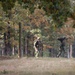 Competitors Open Machine Gun Championship with 10m Match