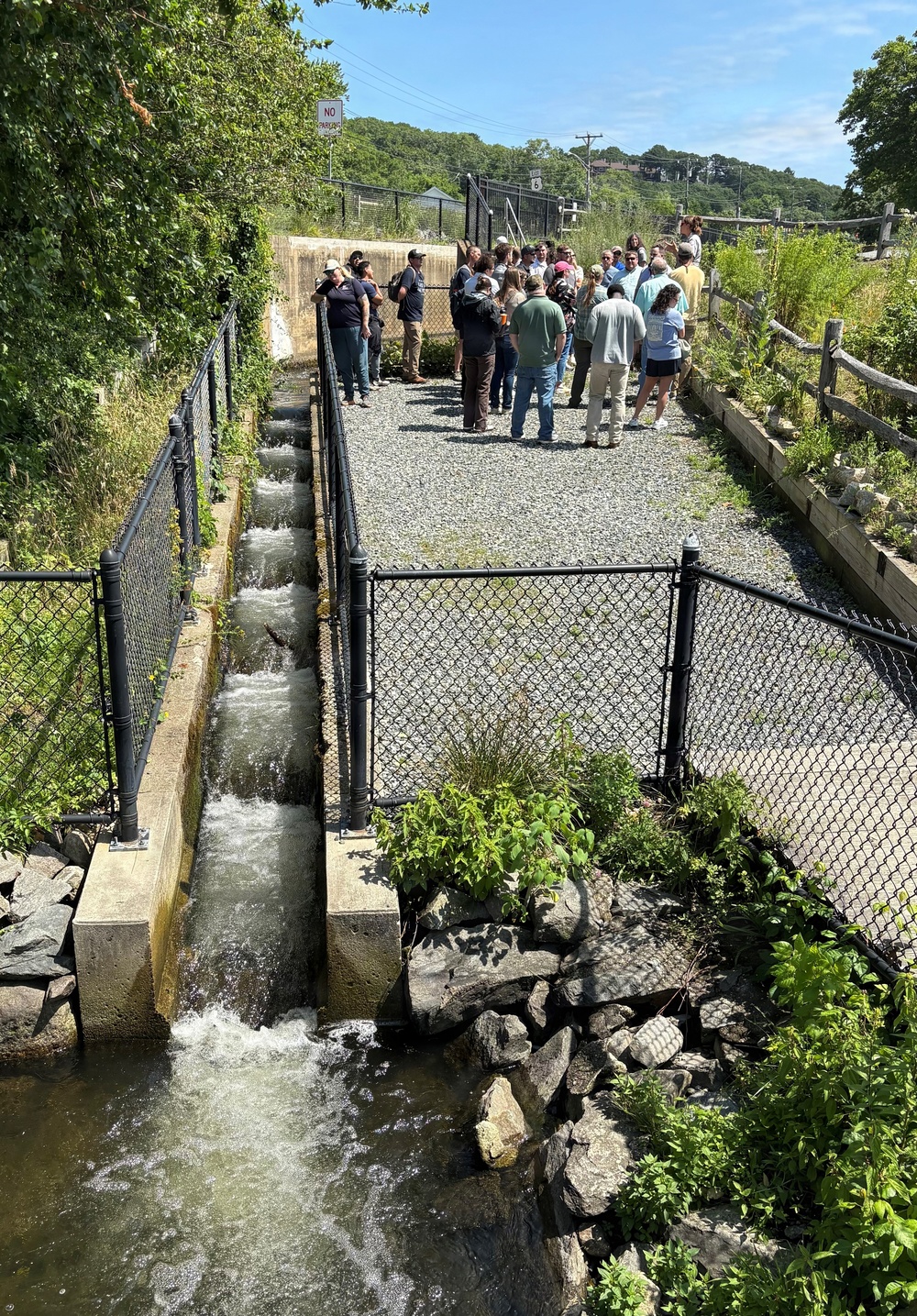 Building Bridges: Navigating USACE Partnerships in Natural Resources Management