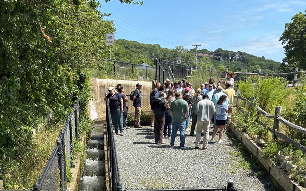 Building Bridges: Navigating USACE Partnerships in Natural Resources Management