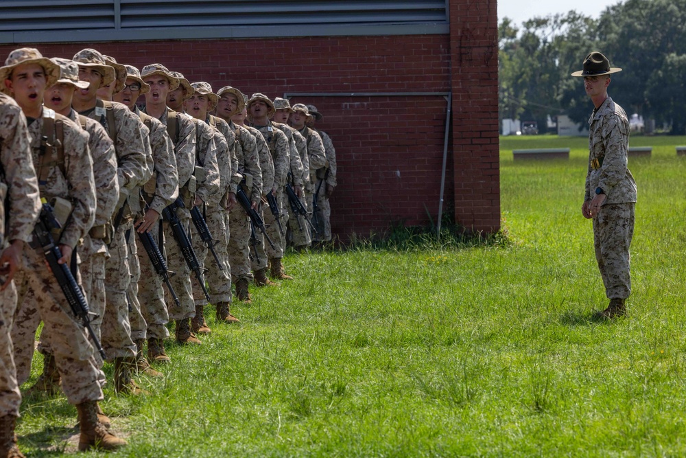 Delta Company Grass Week
