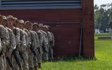 Delta Company Grass Week