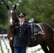 Full Military Funeral Honors with Escort are Conducted for U.S. Army Gen. David Maddox in Section 34