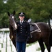 Full Military Funeral Honors with Escort are Conducted for U.S. Army Gen. David Maddox in Section 34