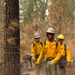 U.S. Army Soldiers from 7th Infantry Division activated as wildland firefighters on the Modrite Fire