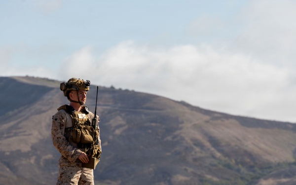 How Sgt. Christian Nava Masters Joint Fire Integration