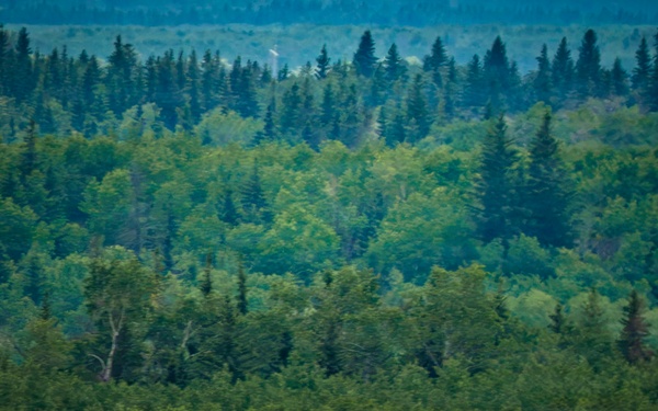 F-22 Raptor Captivates Crowds at Cold Lake Airshow