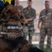 A military working dog wearing a 'DO NOT PET' collar patch is shown during what appears to be a K9 demonstration or training exercise. The dog is on a leash and appears to be biting or engaging with a person wearing a yellow protective bite sleeve. Several soldiers in camouflage uniforms are visible in the blurred background, smiling and observing the activity.