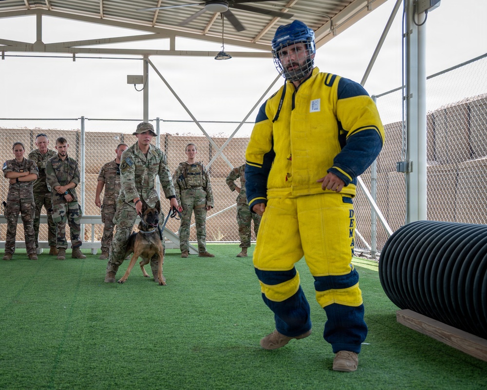 A military working dog (MWD) training exercise is underway at an outdoor facility. A decoy/agitator wearing a yellow and blue bite protection suit and blue helmet is positioned in front of a handler holding a Belgian Malinois on leash. A group of military personnel in MultiCam/OCP uniforms observe the demonstration from the background.