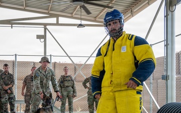 Building Connections: U.S. &amp; French Military Working Dogs Information Exchange