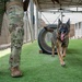 A military working dog, appearing to be a Belgian Malinois or German Shepherd, is running on artificial turf at what appears to be a military K9 training facility. A soldier in OCP (Operational Camouflage Pattern) uniform is visible from the waist down on the left side of the frame. The dog has just passed through a tire obstacle and appears energetic with its tongue out.
