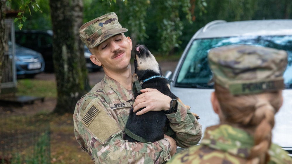 Military police and Civil Affairs Soldiers volunteer at Vilnius animal shelter