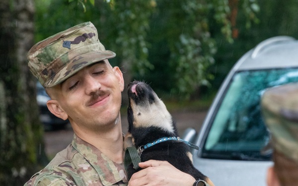 Military police and Civil Affairs Soldiers volunteer at Vilnius animal shelter