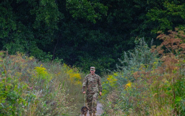 Military police and Civil Affairs Soldiers volunteer at Vilnius animal shelter