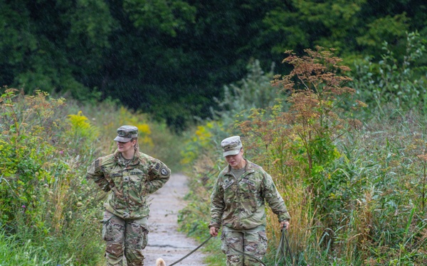 Military police and Civil Affairs Soldiers volunteer at Vilnius animal shelter