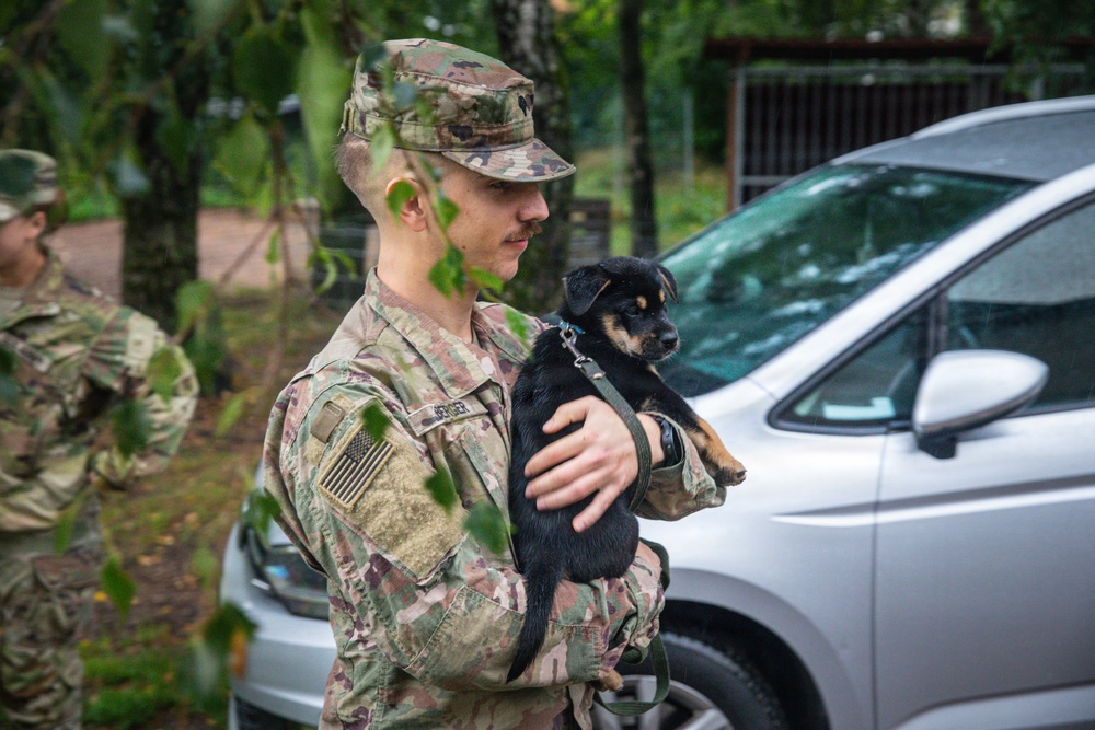 Military police and Civil Affairs Soldiers volunteer at Vilnius animal shelter