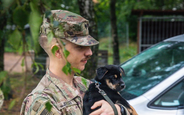 Military police and Civil Affairs Soldiers volunteer at Vilnius animal shelter