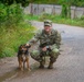 Military police and Civil Affairs Soldiers volunteer at Vilnius animal shelter