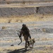 13th Marine Expeditionary Unit Exercise aboard MCLB Barstow