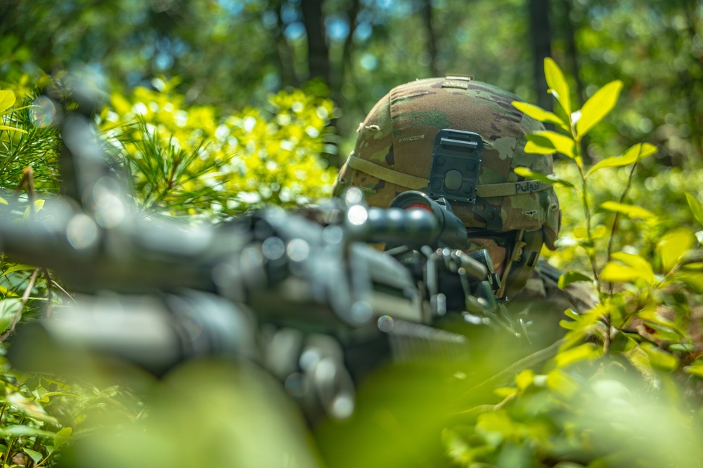 1-181 Annual training