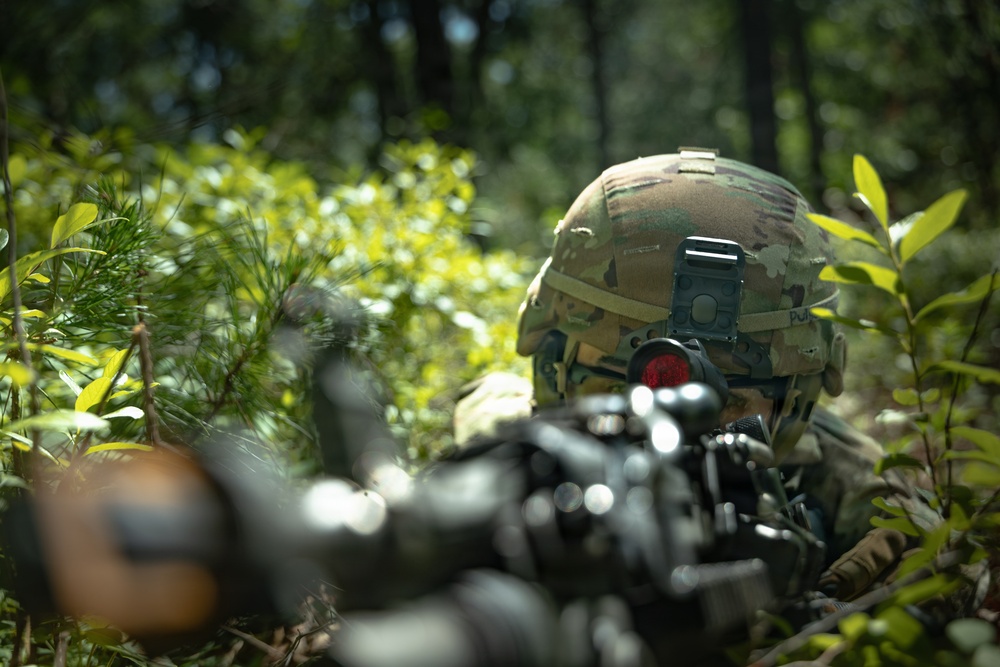 1-181 Annual training