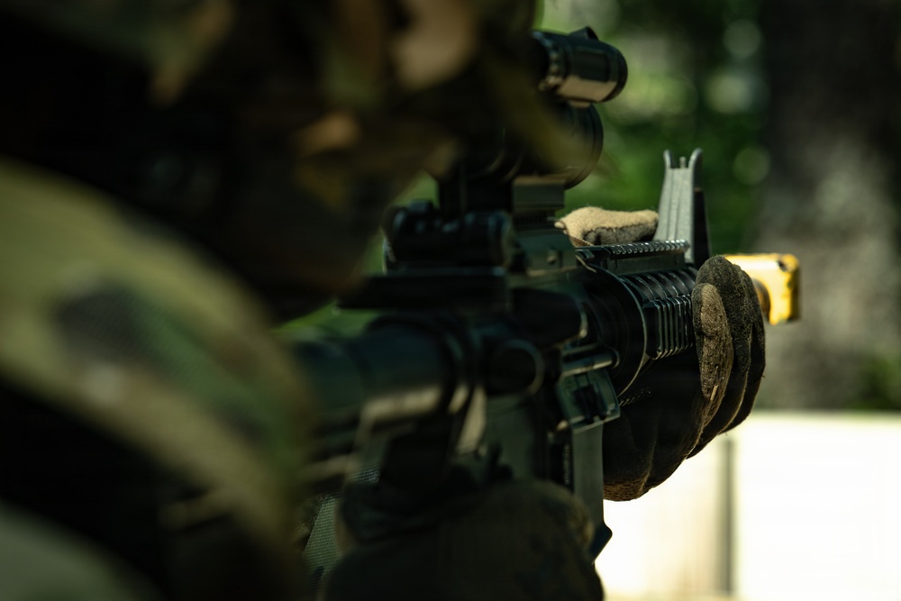 1-181 Annual training