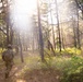 254th RTI Infantry ALC