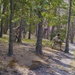 254th RTI Infantry ALC