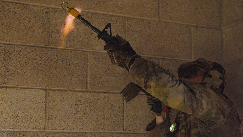 254th RTI Infantry ALC