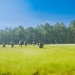 254th RTI Infantry ALC