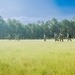 254th RTI Infantry ALC