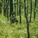 254th RTI Infantry ALC