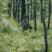 254th RTI Infantry ALC
