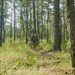 254th RTI Infantry ALC