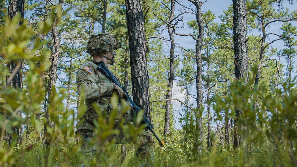 254th RTI Infantry ALC
