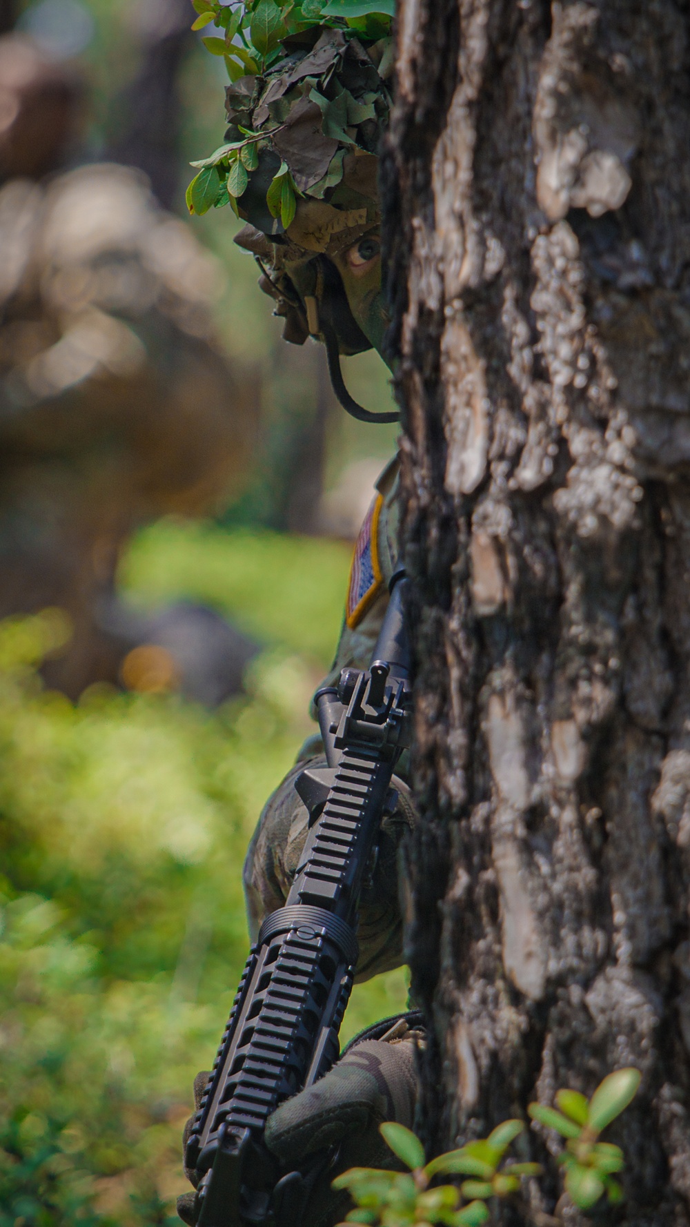 254th RTI Infantry ALC