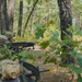 254th RTI Infantry ALC