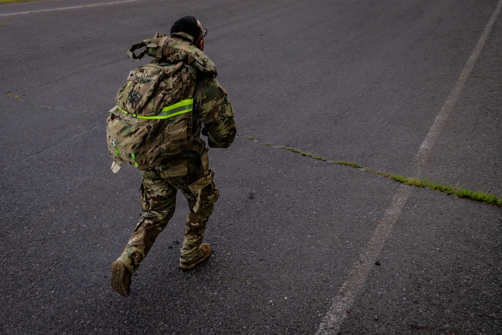 2-113th Norwegian Footmarch